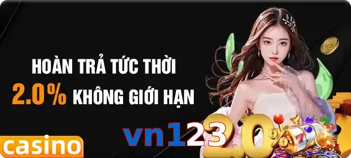 vn123